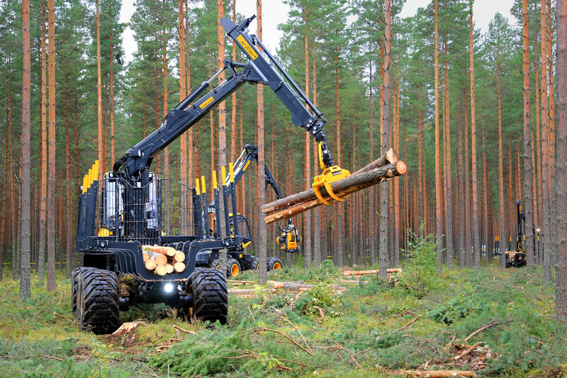 Tree logging